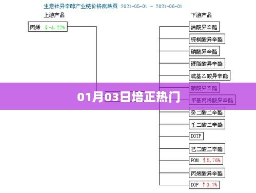 培正热门资讯 01月03日动态