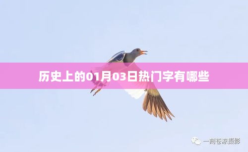 历史上的热门字，一月三日关键词回顾