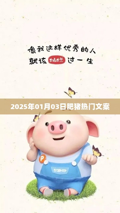 肥猪热门文案大揭秘，2025年1月3日展望