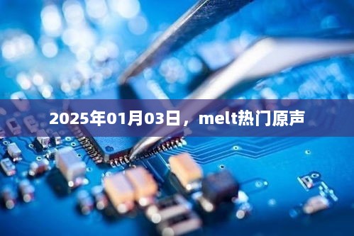 Melt热门原声，2025年1月3日新声来袭