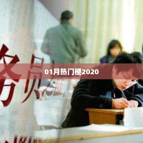 『2020年一月份热门梗大盘点』