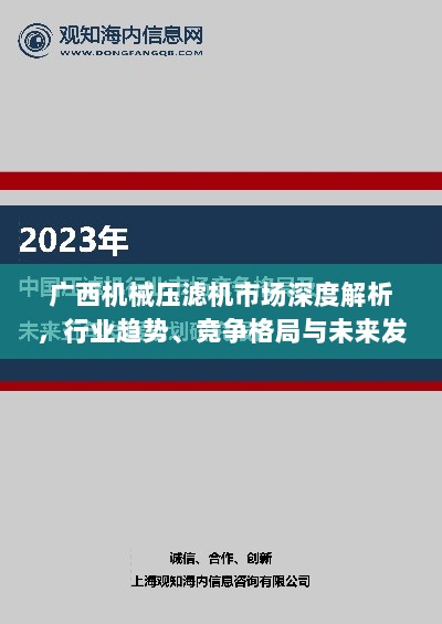 广西机械压滤机市场深度解析，行业趋势、竞争格局与未来发展展望