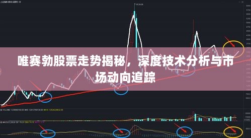 唯赛勃股票走势揭秘，深度技术分析与市场动向追踪