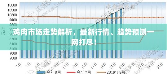 鸡肉市场走势解析，最新行情、趋势预测一网打尽！