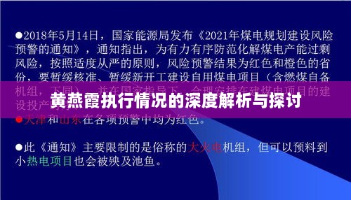 黄燕霞执行情况的深度解析与探讨