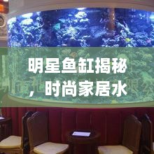 明星鱼缸揭秘，时尚家居水族文化的新潮流探索