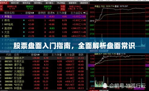 股票盘面入门指南，全面解析盘面常识