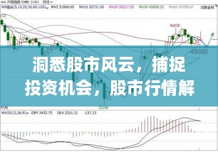 洞悉股市风云，捕捉投资机会，股市行情解析助你慧眼识金！