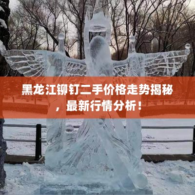 黑龙江铆钉二手价格走势揭秘，最新行情分析！