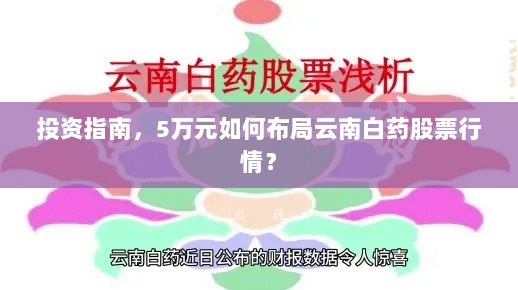 投资指南，5万元如何布局云南白药股票行情？