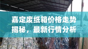 嘉定废纸箱价格走势揭秘，最新行情分析与市场动态