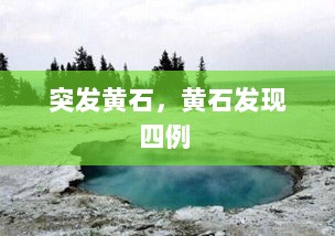 突发黄石，黄石发现四例 