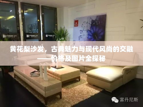 黄花梨沙发，古典魅力与现代风尚的交融——价格及图片全探秘