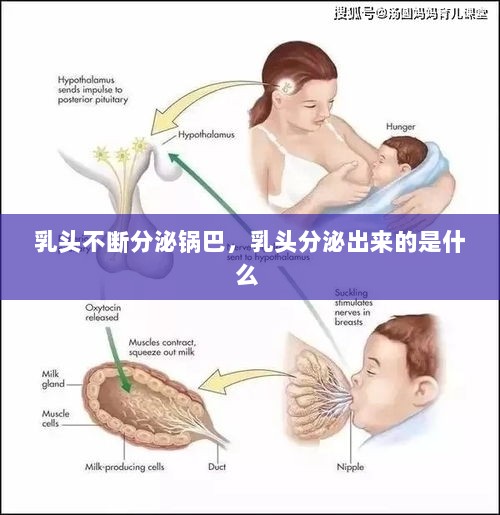 乳头不断分泌锅巴，乳头分泌出来的是什么 