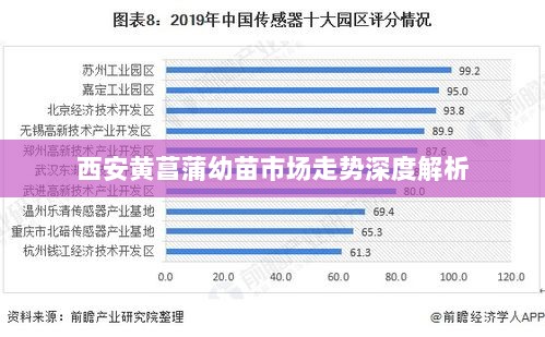 西安黄菖蒲幼苗市场走势深度解析