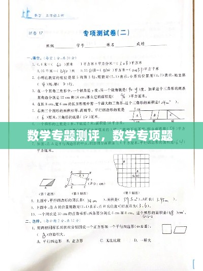 数学专题测评，数学专项题 