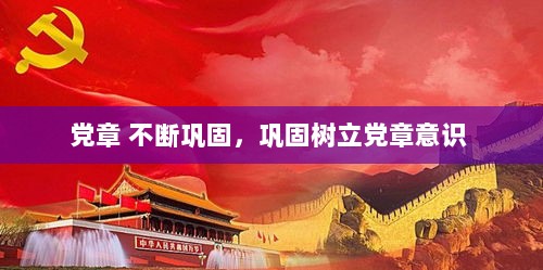 党章 不断巩固，巩固树立党章意识 