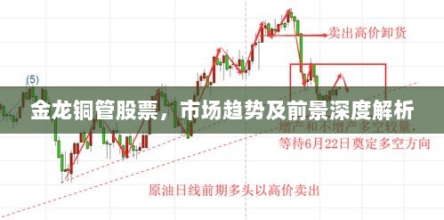 金龙铜管股票，市场趋势及前景深度解析