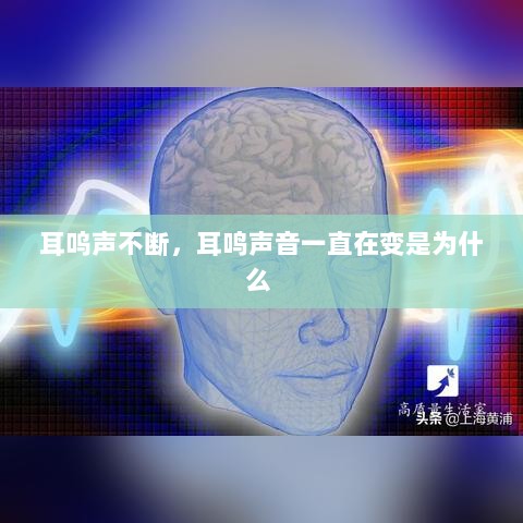 耳呜声不断，耳鸣声音一直在变是为什么 