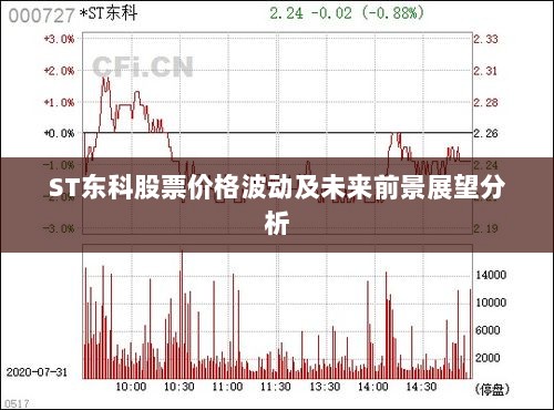 ST东科股票价格波动及未来前景展望分析