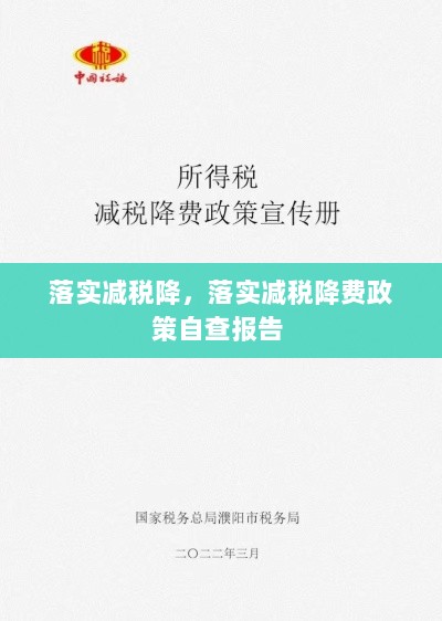 落实减税降，落实减税降费政策自查报告 