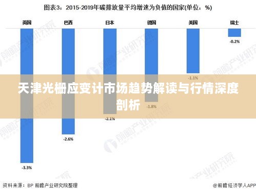 天津光栅应变计市场趋势解读与行情深度剖析