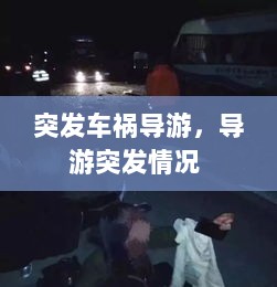 突发车祸导游，导游突发情况 