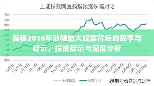 揭秘2016年涨幅最大股票背后的故事与启示，投资启示与深度分析