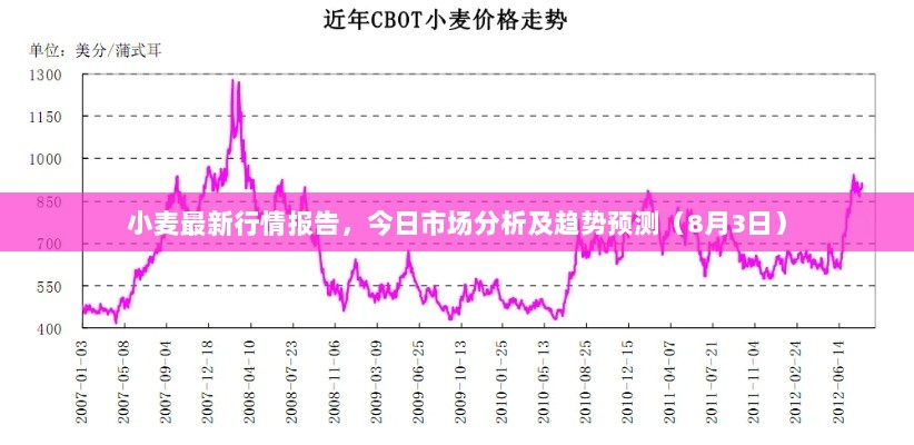 小麦最新行情报告，今日市场分析及趋势预测（8月3日）