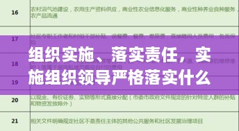 组织实施、落实责任，实施组织领导严格落实什么责任 