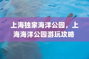 上海独家海洋公园，上海海洋公园游玩攻略 