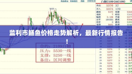 监利市鳝鱼价格走势解析，最新行情报告！