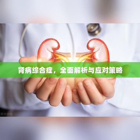 肾病综合症，全面解析与应对策略