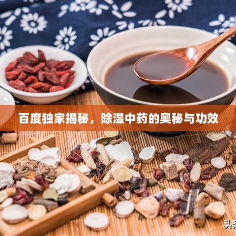 百度独家揭秘，除湿中药的奥秘与功效