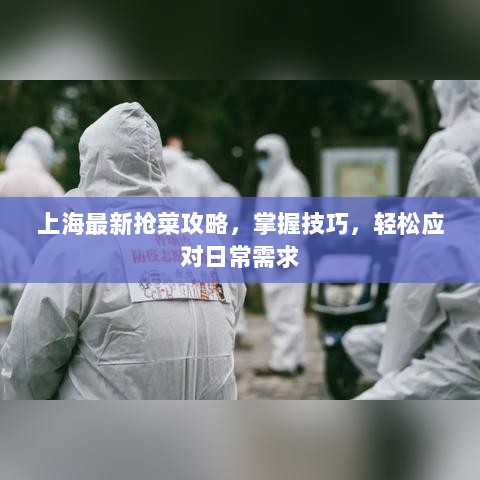 上海最新抢菜攻略，掌握技巧，轻松应对日常需求