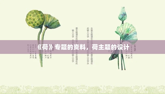 《荷》专题的资料，荷主题的设计 