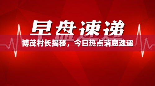 博茂村长揭秘，今日热点消息速递