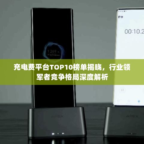 充电费平台TOP10榜单揭晓，行业领军者竞争格局深度解析