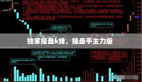 独家操盘k线，操盘手主力版 