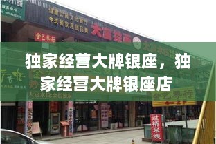 独家经营大牌银座，独家经营大牌银座店 