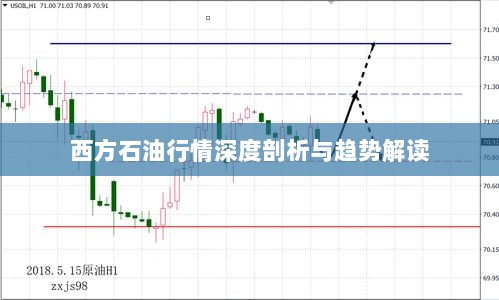 西方石油行情深度剖析与趋势解读