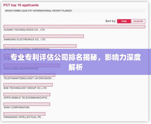 专业专利评估公司排名揭秘，影响力深度解析