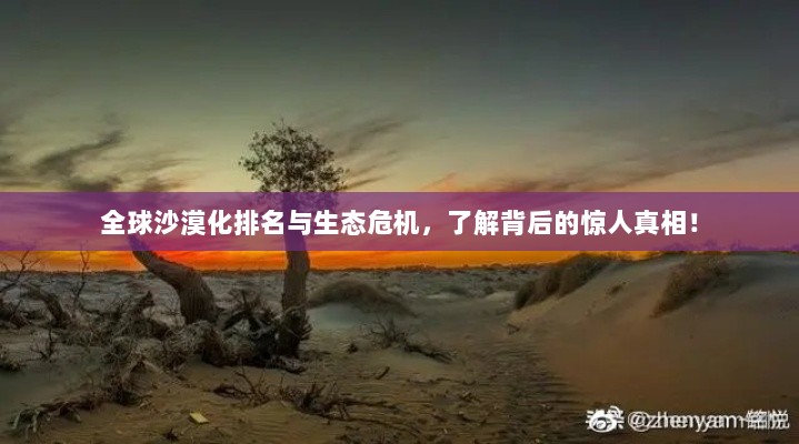 全球沙漠化排名与生态危机，了解背后的惊人真相！