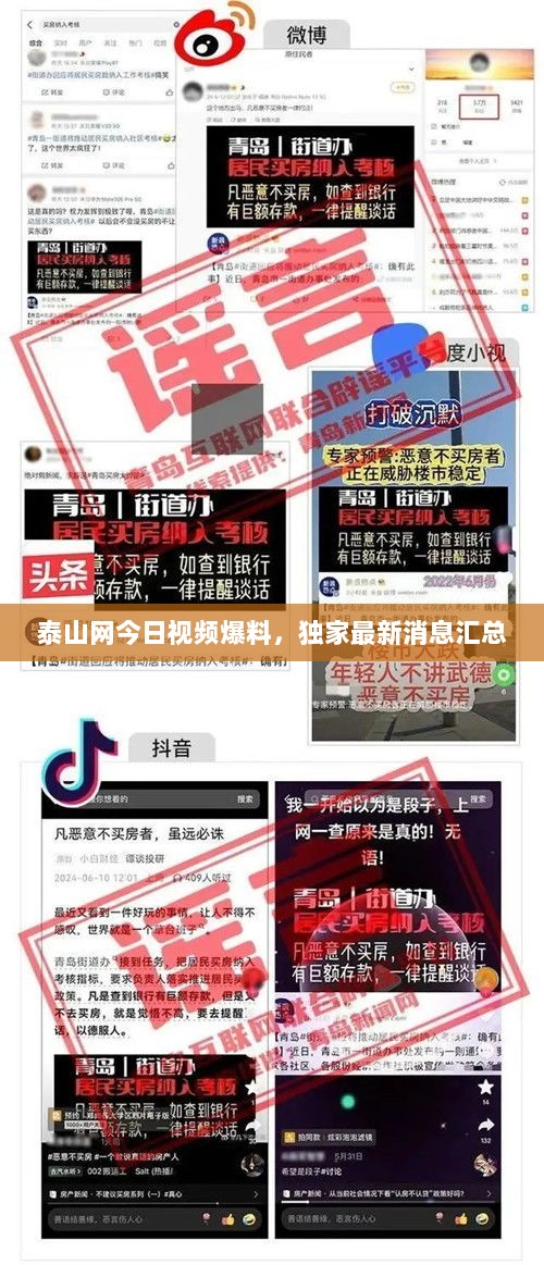 泰山网今日视频爆料，独家最新消息汇总