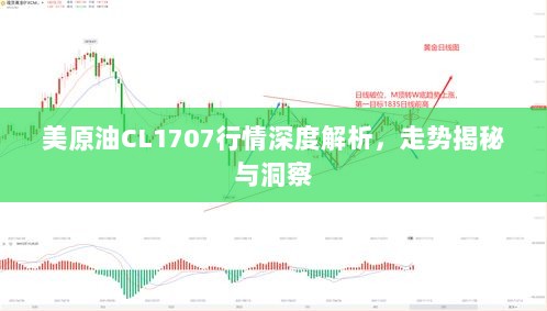 美原油CL1707行情深度解析，走势揭秘与洞察