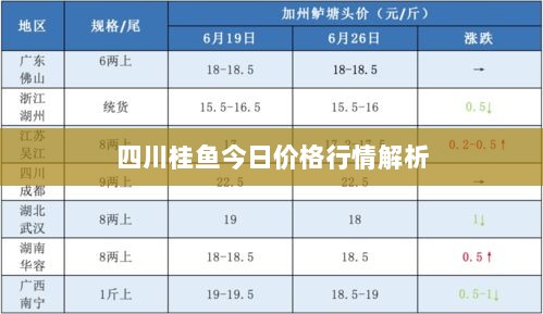 四川桂鱼今日价格行情解析