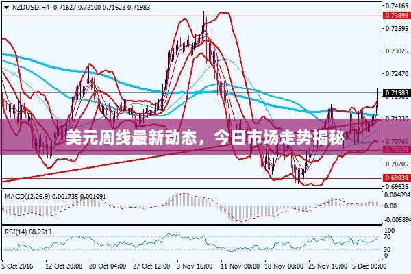 美元周线最新动态，今日市场走势揭秘