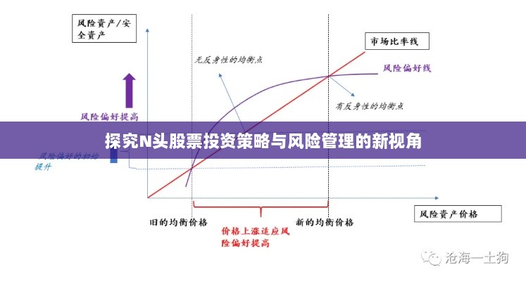 探究N头股票投资策略与风险管理的新视角