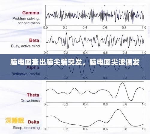 脑电图查出脑尖端突发，脑电图尖波偶发 