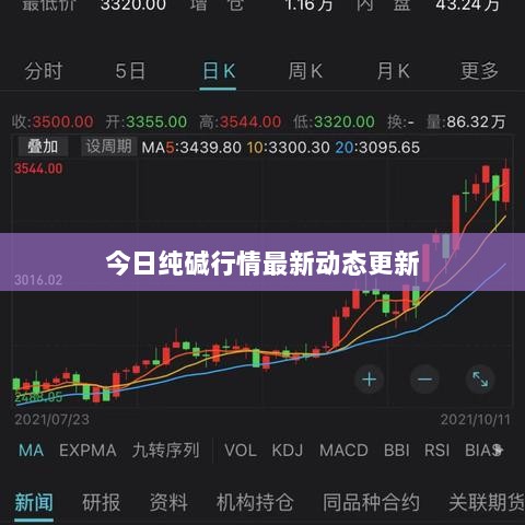 今日纯碱行情最新动态更新